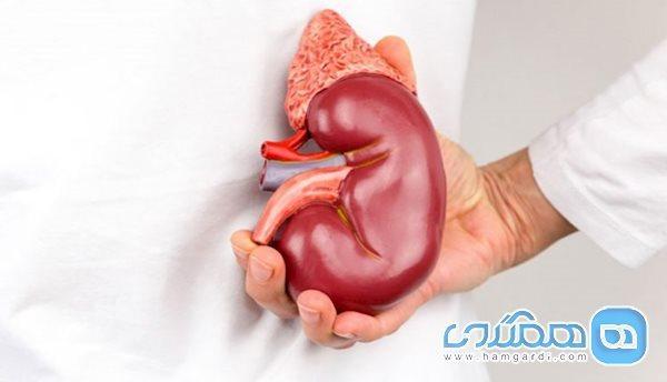 به خاطر سلامت کلیه، در مصرف این مواد زیاده روی نکنید