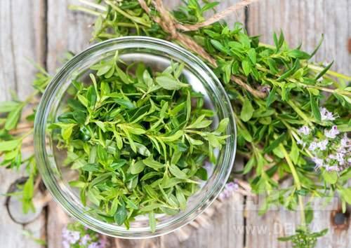 12 خاصیت درمانی مرزه