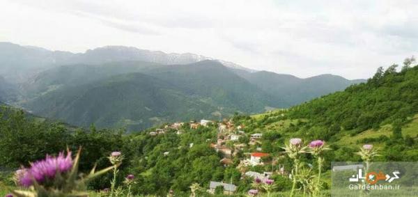 روستای سنام ؛ لمس طبیعت بکر و سر سبز مازندران، عکس