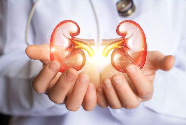 7 نوشیدنی برای پاکسازی کلیه ها به طور طبیعی
